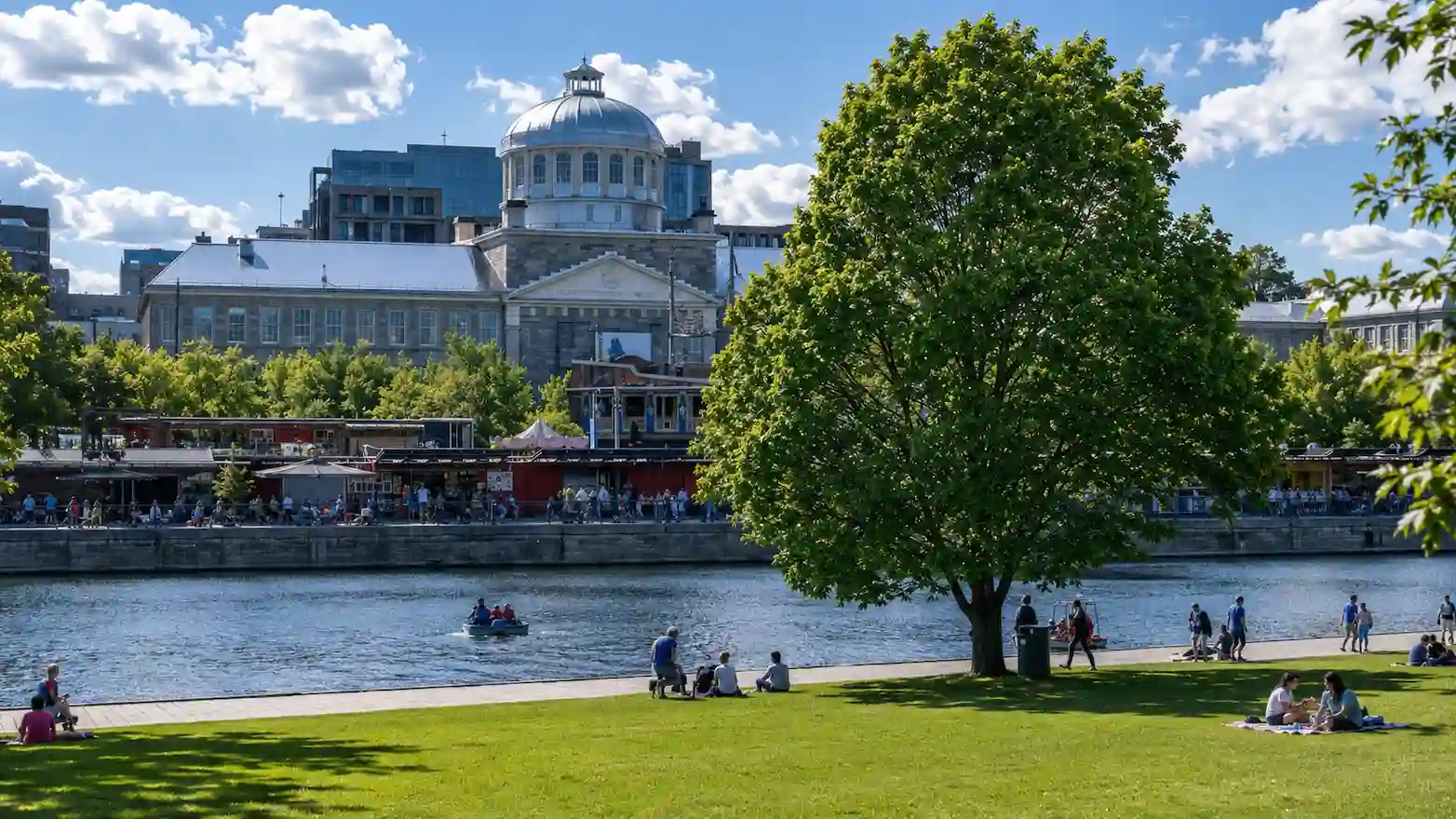 Thumbnail-For-Online Loan in Montreal for Everyday Cash Gaps-By-Mini Cash